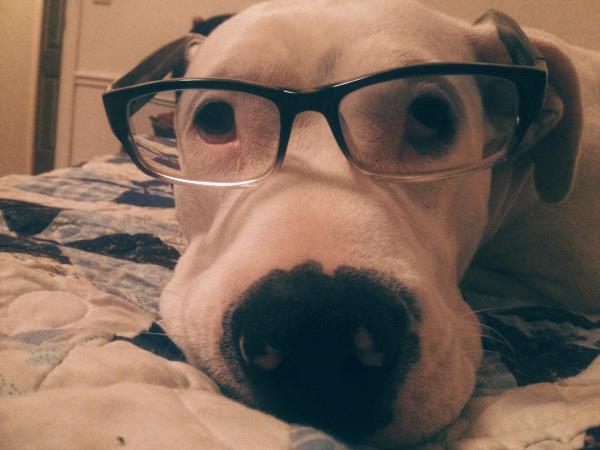/Images/uploads/Humane Society of Utah/HSUCalendar/entries/1581thumb.jpg
